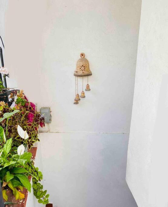 Апартаменты Bonito Y Comodo Departamento En Taxco! Экстерьер фото